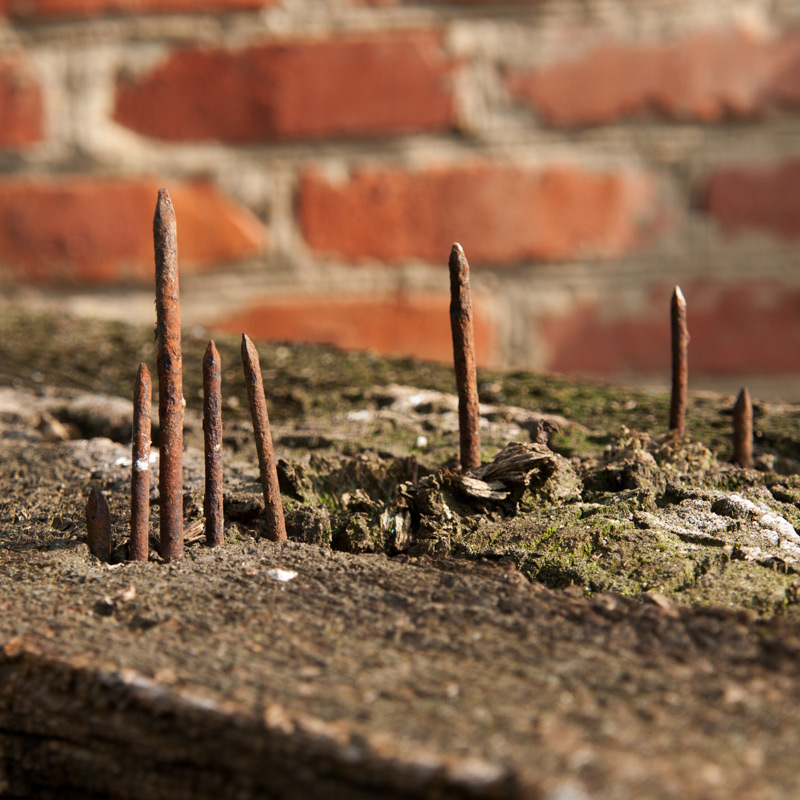 Tetanus