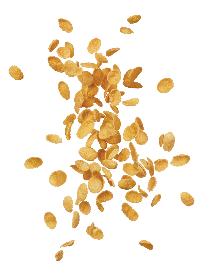 Breakfast Flakes