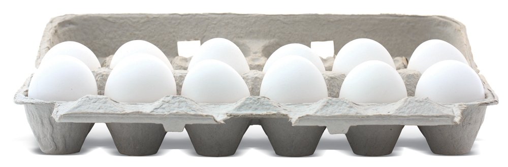 eggs